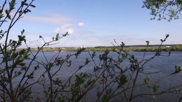 Красивый вид на реку через деревья, отражение облаков на воде — стоковое видео