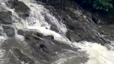 Tropikal ormanda güzel basamaklı şelale,