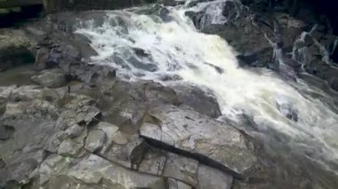 Tropikal ormanda güzel basamaklı şelale,