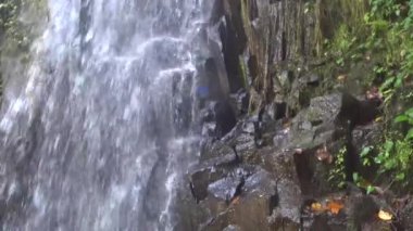 Tropikal ormanda güzel basamaklı şelale,