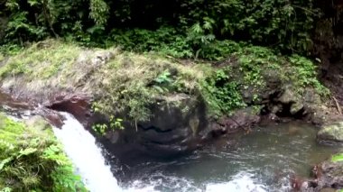 Tropikal ormanda güzel basamaklı şelale,