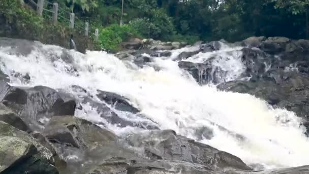 Belle cascade en cascade dans la jungle tropicale , — Video