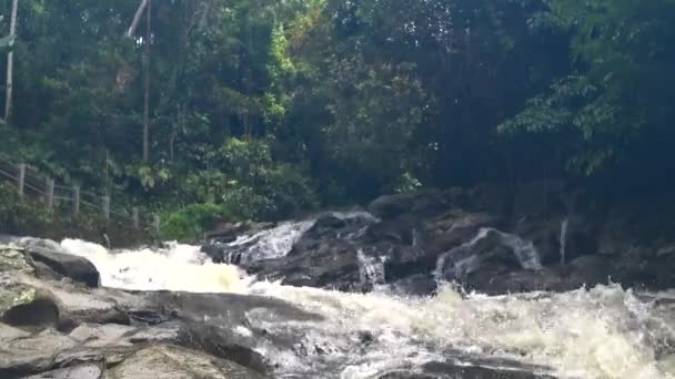 Wunderschöner Wasserfall im tropischen Dschungel, — Stockvideo