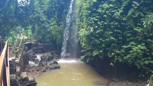 Prachtige trapsgewijze waterval in de tropische jungle, — Stockvideo
