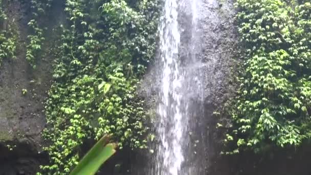 Belle cascade en cascade dans la jungle tropicale , — Video