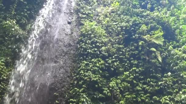 Belle cascade en cascade dans la jungle tropicale , — Video