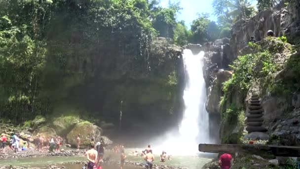 Belle cascade en cascade dans la jungle tropicale , — Video