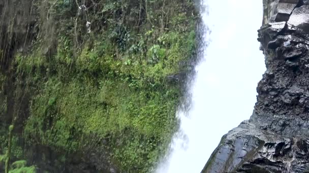 Beautiful cascading waterfall in the tropical jungle, — Stock Video