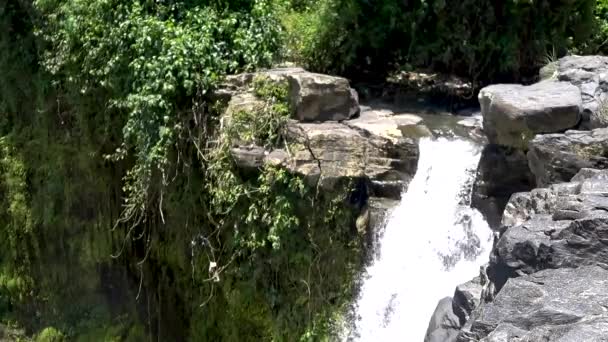 Tropikal ormanda güzel basamaklı şelale, — Stok video