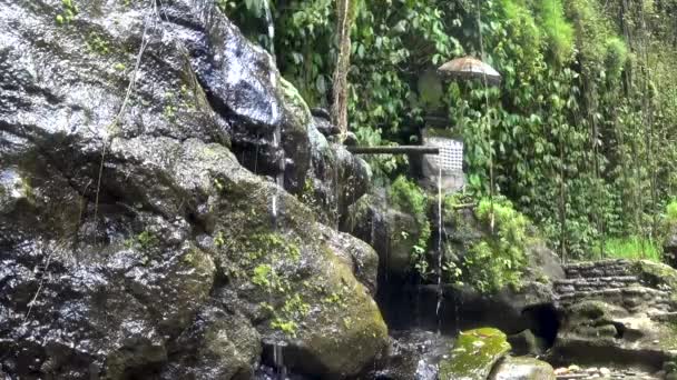 Krásný kaskádní vodopád v tropické džungli, — Stock video