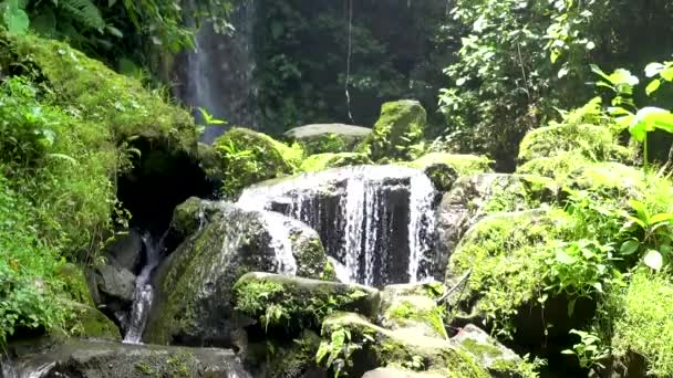 Tropikal ormanda güzel basamaklı şelale, — Stok video