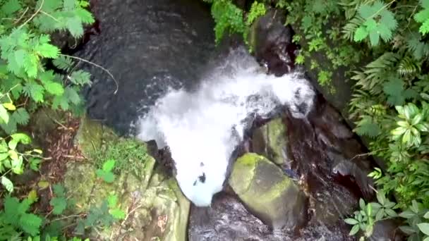 Каскадный водопад в тропических джунглях , — стоковое видео