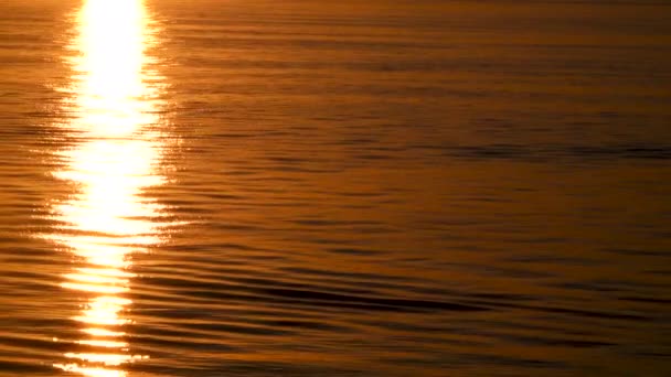 Vacker solnedgång på havet — Stockvideo