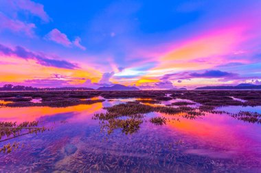 Phuket Adası düşük gelgit sırasında mercan resif üzerinde sahne gündoğumu. düşük gelgit sırasında biz-ebilmek görmek bir sürü mercan resif ve deniz ile ilgili balıkçı Rawai beach çevresinde