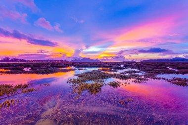 Phuket Adası düşük gelgit sırasında mercan resif üzerinde sahne gündoğumu. düşük gelgit sırasında biz-ebilmek görmek bir sürü mercan resif ve deniz ile ilgili balıkçı Rawai beach çevresinde