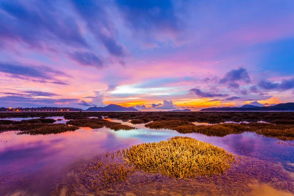 Восход Солнца Над Коралловым Рифом Время Отлива Острове Пхукет Время — стоковое фото
