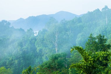 Khao Kai Nui üzerinde bakış açısı yüksek dağıdır kapak sis yağmur ormanı Phang Nga ilinde Tayland görebilirsiniz