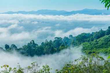 yavaş dağ benziyor üst kapak sis bir deniz üfleme sis yüzer. Soğuk havanın olduğu sabah dağda kayan sis sis bir deniz yapmak. 