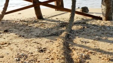  yengeçler bir sürü kum plaj çukur kaz. Sahilde yaşayan