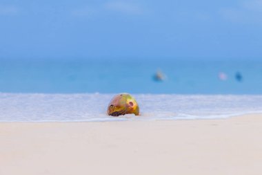 Nai Harn Beach Hindistan cevizi. yağışlı sezon her zaman Naiharn Beach büyük dalga sörf için kadrini 