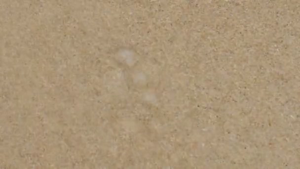 ナイハーン ビーチの砂に浮かぶ海から大きな波 空気のような風を砂の作った泡で — ストック動画
