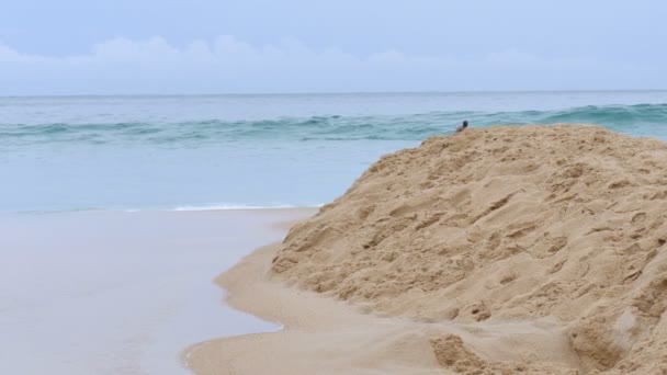 Kokos Sušený Pláž Nai Harn Období Dešťů Vždy Mají Velkou — Stock video