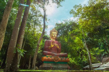 wat Tham Ta Pan Tapınağı Phang Nga ilinde, yan ormandaki büyük Buda heykeli.