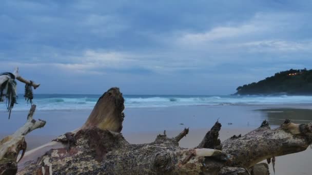 Tijd Lapse Zonsondergang Boven Dode Boom Karon Beach Phuket — Stockvideo