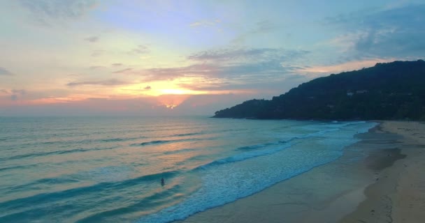 Büyük Ölü Ağaçlar Büyük Ölü Ağaçlar Karon Beach Dalgalar Tarafından — Stok video