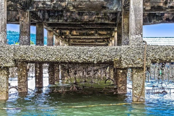 Ban Sam balıkçı köyü Phang Nga içinde altında Pier