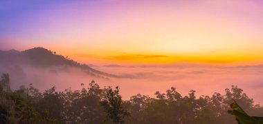 sis tropikal yağmur ormanları ve güzel gündoğumu sahne dağda yukarıda Phang Nga Vadisi görünümünde