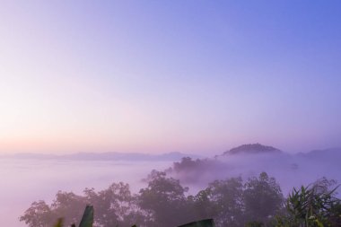 sis tropikal yağmur ormanları ve güzel gündoğumu sahne dağda yukarıda Phang Nga Vadisi görünümünde