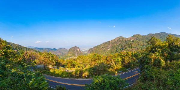 Çam ormanı kış mevsiminde dağ Doi Pha bana Chiang Rai Tayland at