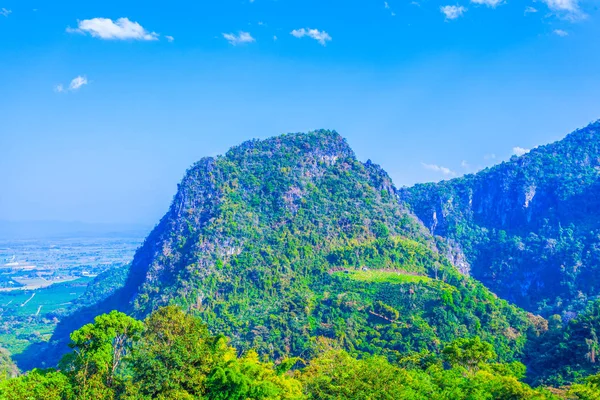 Çam ormanı kış mevsiminde dağ Doi Pha bana Chiang Rai Tayland at