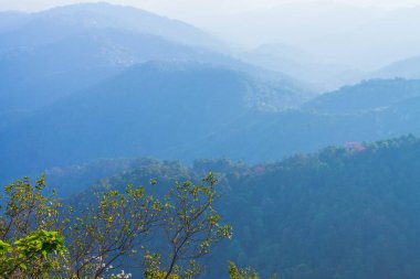 Doi Tung Chiang Rai eyaletinin kuzeyinde Tayland, kışın. Hava serin ve kuru yaprak sarı renkle ağaçlar değişimin olduğunu