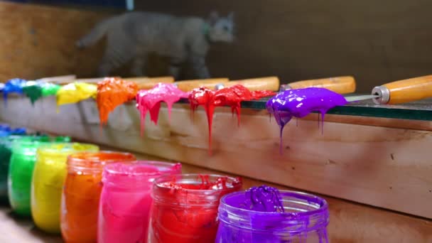Кіт Стрибає Кольоровому Столі Різнокольорові Фарби Бочках Врізаються Траву Магазин — стокове відео