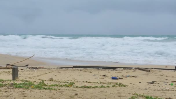 強風でモンスーンの季節 木材を取る 木と海からの廃棄物は ビーチで爆破 木材チップやゴミで汚いビーチを作る — ストック動画