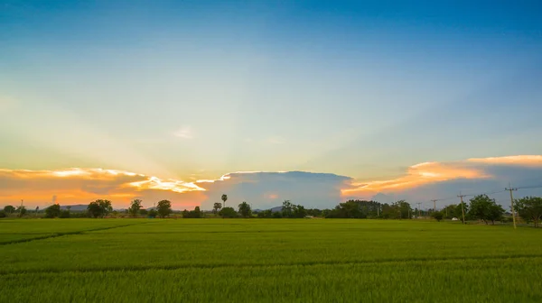 Vista Aérea Cenário Pôr Sol Nova Rota Passar Campo Arroz — Fotografia de Stock