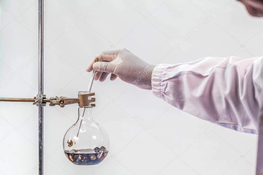 a scientist in Laboratory refining equipment Distillation of Alcohol from Blueberry