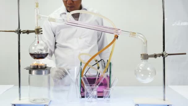 Laboratuvar Ekipmanları Damıtma Alkol Parfüm Blueberry Rafine Kaynar Yaban Mersini — Stok video