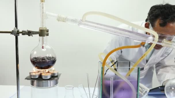 Kokend Blueberry Laboratorium Apparatuur Distillatie Van Alcohol Parfum Van Blueberry — Stockvideo