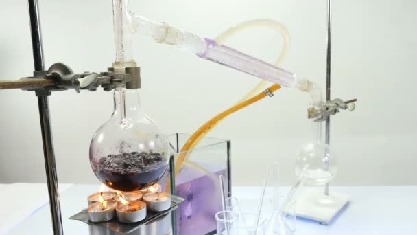 Koka Blåbär Laboratorium Raffinering Utrustning Destillation Alkohol Och Parfym Från — Stockvideo