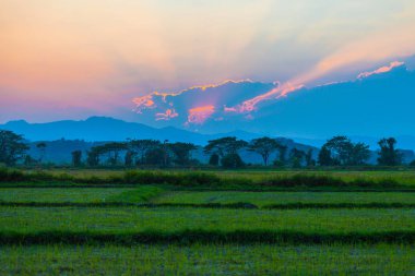 Chiang Rai Tayland yüksek dağ üstünde belgili tanımlık bulut aracılığıyla ışık.