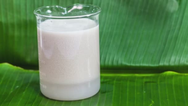 Timelapse Leche Coco Convierten Aceite Coco Coco Raspando Para Mezclar — Vídeos de Stock