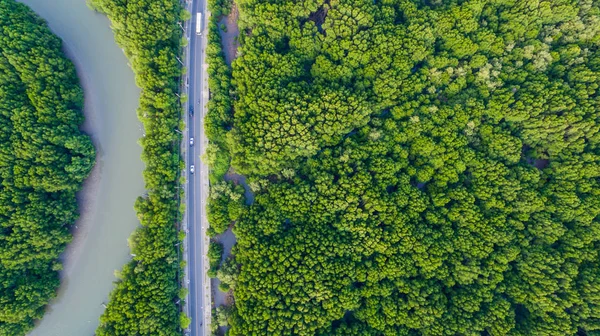 mangrov ormanın Phuket Adası ana yolda Sirey Adası'na geçmek