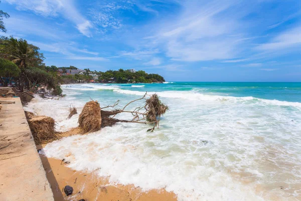 big waves hit the Pandanus trees on Kata beach Phuket were shattered during the monsoon season.