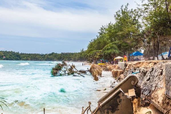 big waves hit the Pandanus trees on Kata beach Phuket were shattered during the monsoon season.