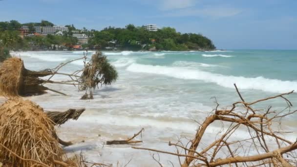 Stora Vågor Slå Pandanus Träden Kata Beach Phuket Krossades Monsunperioden — Stockvideo