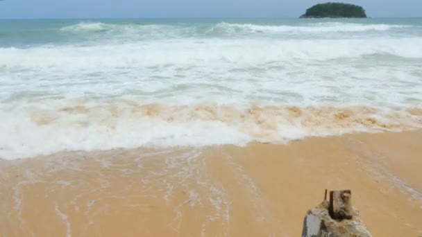 Grote Golven Sloeg Pandanus Bomen Kata Beach Phuket Werden Verbrijzeld — Stockvideo