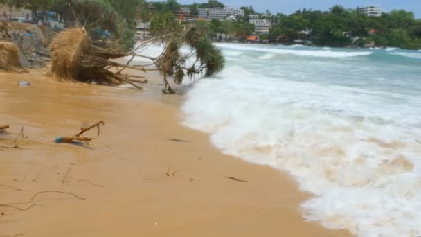 Stora Vågor Slå Pandanus Träden Kata Beach Phuket Krossades Monsunperioden — Stockvideo